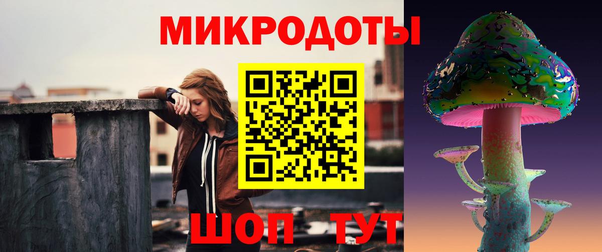 Псилоцибиновые грибы Psilocybe Нерюнгри